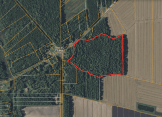 30 Acres Timberland for Sale Near Aurora, NC